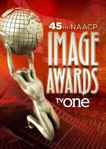 NAACP Image Awards - Season 3 / Year 2014