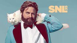 Zach Galifianakis / Vampire Weekend