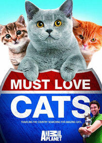 Must Love Cats