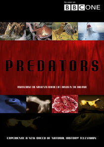 Predators