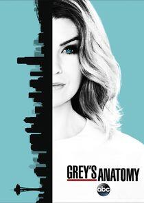 Grey's Anatomy - Season 13