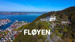 Fløyen