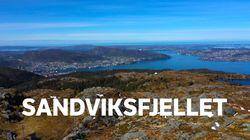 Sandviksfjellet