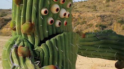 Night of the Cactus!