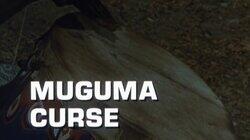 Muguma Curse