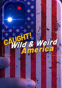 Wild & Weird America