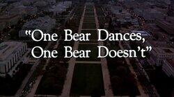 'One Bear Dances, One Bear Doesn't'