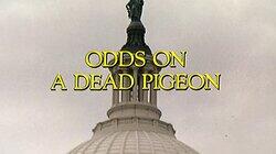 Odds on a Dead Pigeon