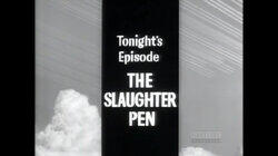 The Slaughter Pen