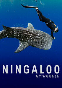 Ningaloo Nyinggulu