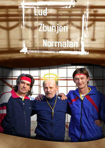 Lud, zbunjen, normalan