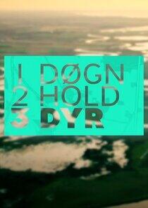 1 døgn, 2 hold, 3 dyr