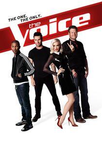 The Voice - Season 7