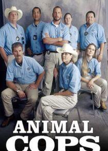 Animal Cops: Houston