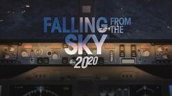 Falling From the Sky