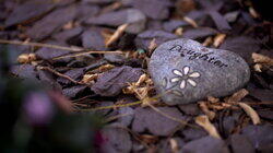 Danielle Jones Danielle Jones