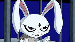 Bunny Raven or How to Make a Titananimal Disappear Bunny Raven or How to Make a Titananimal Disappear