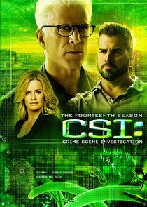 CSI: Crime Scene Investigation - Season 14