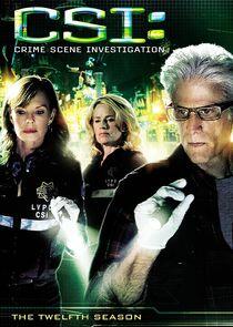 CSI: Crime Scene Investigation - Season 12