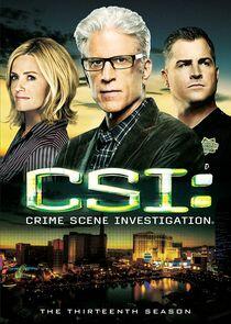 CSI: Crime Scene Investigation - Season 13