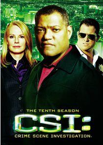 CSI: Crime Scene Investigation - Season 10