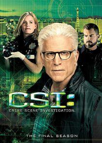 CSI: Crime Scene Investigation - Season 15