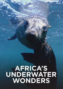 Africa's Underwater Wonders