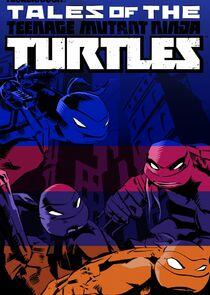 Teenage Mutant Ninja Turtles - Season 5