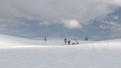 Furano, Hokkaido - White Wintry World