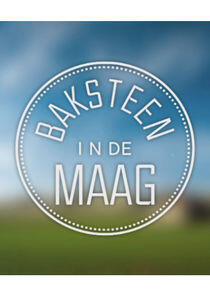 Baksteen in de Maag