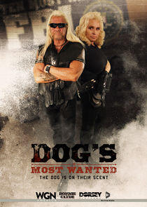 Dog's Most Wanted