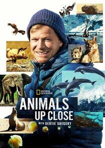 Animals Up Close with Bertie Gregory