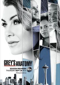 Grey's Anatomy - Season 14