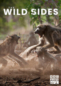 The Wild Sides