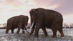 Wooly Mammoth Sighting, Ohio Bigfoot Howl and Killer Robot