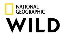 logo of National Geographic Wild