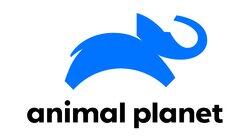 logo of Animal Planet