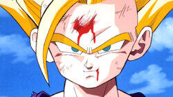 Cell's Break Down Cell's Break Down