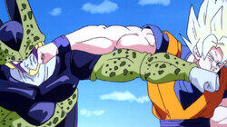 Cell's Bag of Tricks Cell's Bag of Tricks