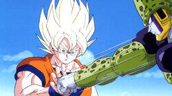 Goku vs. Cell Goku vs. Cell