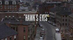 Hawk's Eyes