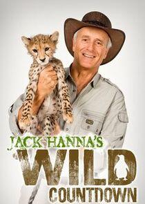 Jack Hanna's Wild Countdown