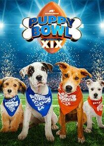 Puppy Bowl - Season 20 / Year 2023