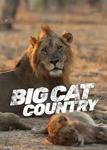 Big Cat Country