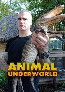 Animal Underworld