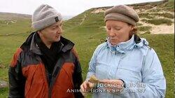 Bodies in the Dunes - Allasdale, Barra, Outer Hebrides, Western Isles