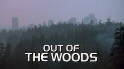 Out of the Woods