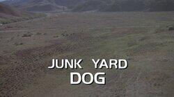 Junk Yard Dog