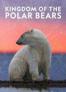 Kingdom of the Polar Bears