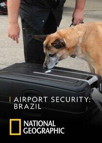 Airport Security: Brazil